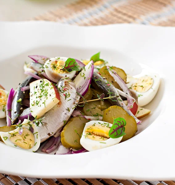 Salade met haring en kruiden — Stockfoto