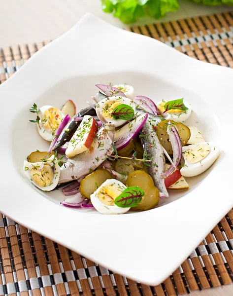 Salad with herring and herbs — Stock Photo, Image