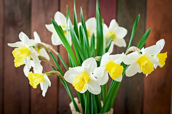 Bouquet of narcissus in vase — Stock Photo, Image