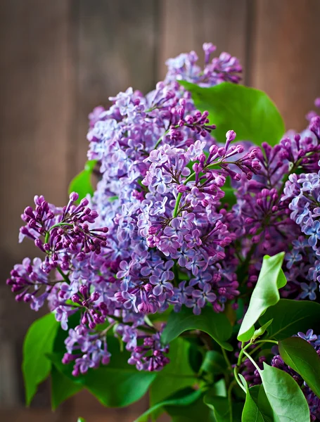 Bouquet of purple  lilac — Stock Photo, Image