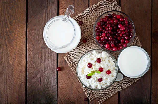 Queso, leche y arándanos — Foto de Stock