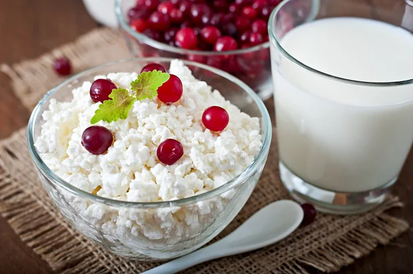 Cheese, milk and cranberries — Stock Photo, Image