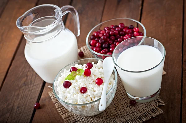 Queso, leche y arándanos — Foto de Stock