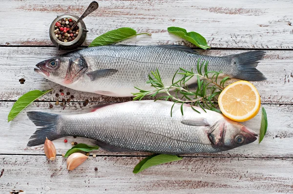 Two raw sea bass with spices — Stock Photo, Image