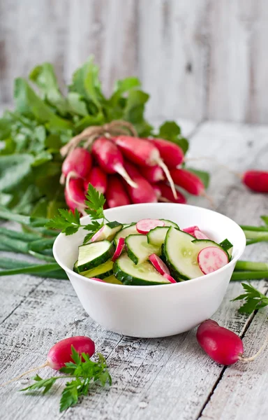 Våren fräsch sallad — Stockfoto