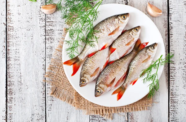 Prepared for frying fish roach — Stock Photo, Image