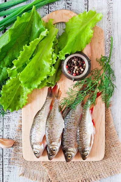 Prepared for frying fish roach — Stock Photo, Image