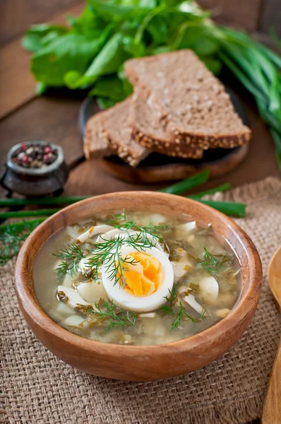 Sopa verde de azeda — Fotografia de Stock