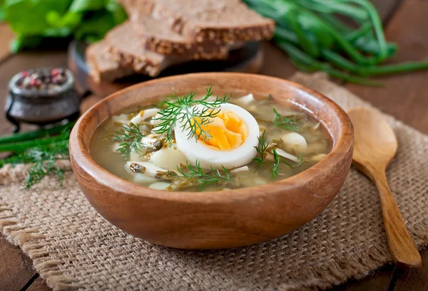 Sopa verde de acedera —  Fotos de Stock