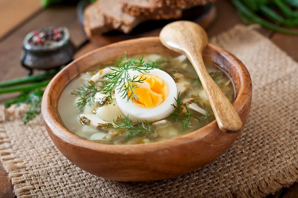 Sopa verde de azeda — Fotografia de Stock