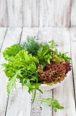 fesleğen, marul, maydanoz, roka