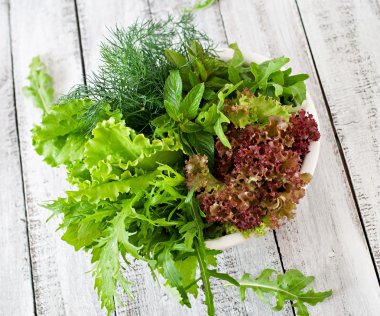 fesleğen, marul, maydanoz, roka