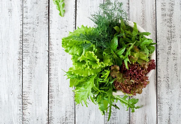 Basil, lettuce, parsley and arugula — Stock Photo, Image