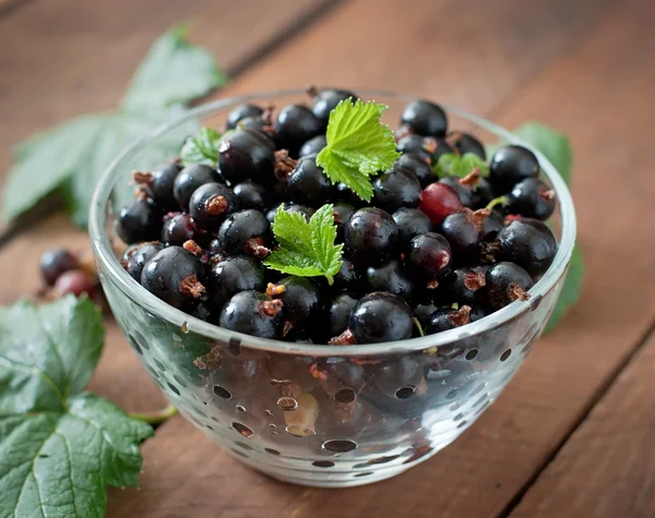 Black currants in a plate — Stock Photo, Image