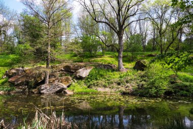 Uman. Sabah Sofievsky Parkı 'nda. Parkın derinliklerinde.