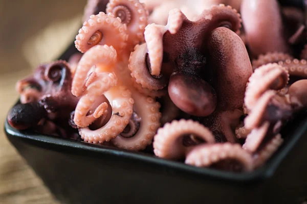 Boiled small octopuses — Stock Photo, Image