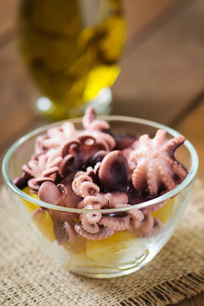 Voorbereiding aardappelsalade met gepekelde octopus — Stockfoto