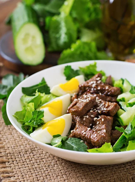 Salat mit würzigem Rindfleisch, Gurken und Eiern — Stockfoto