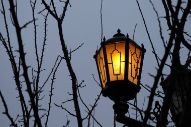 Parkın klasik sokak lambaları