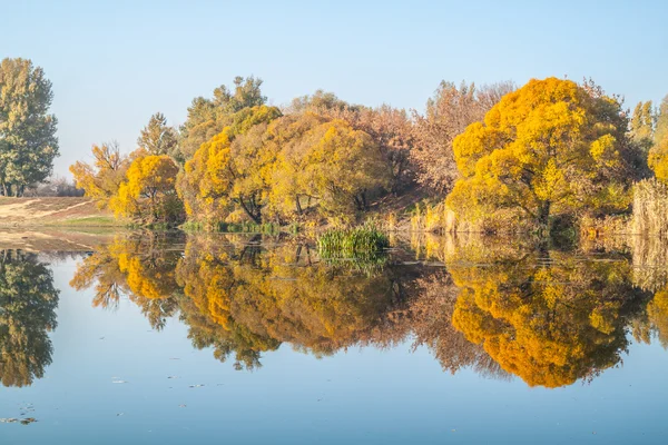 Paisagem de outono 5 — Fotografia de Stock