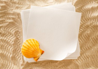 Boş beyaz kağıt ve kum deniz kabuğu