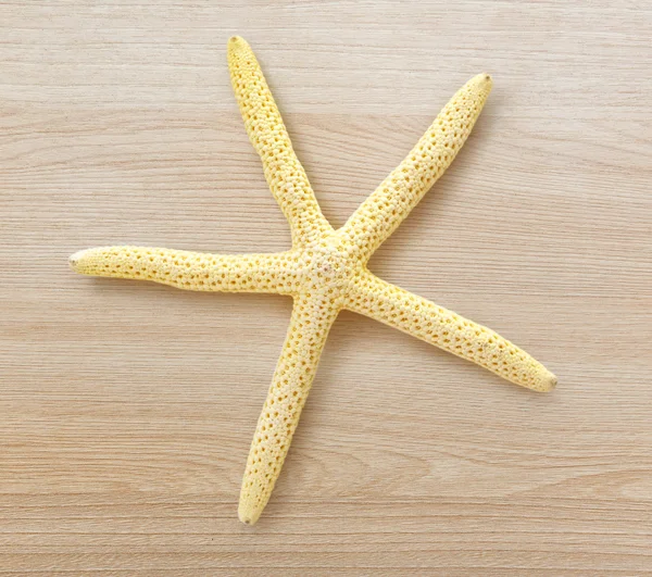 Decorative white sea star — Stock Photo, Image