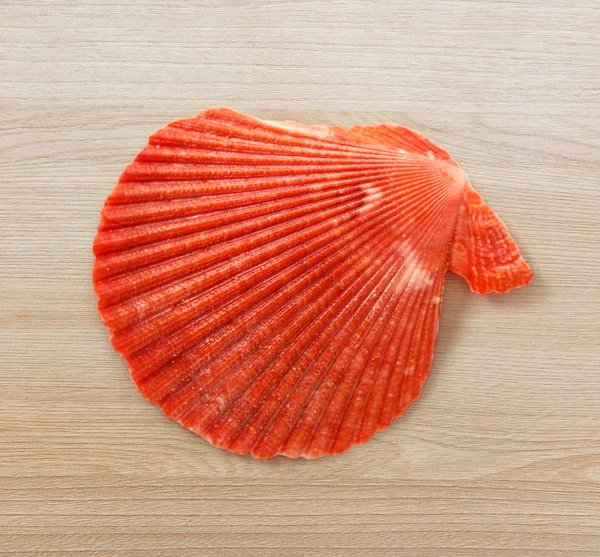 Arka plan üzerinde kırmızı deniz kabuğu — Stok fotoğraf