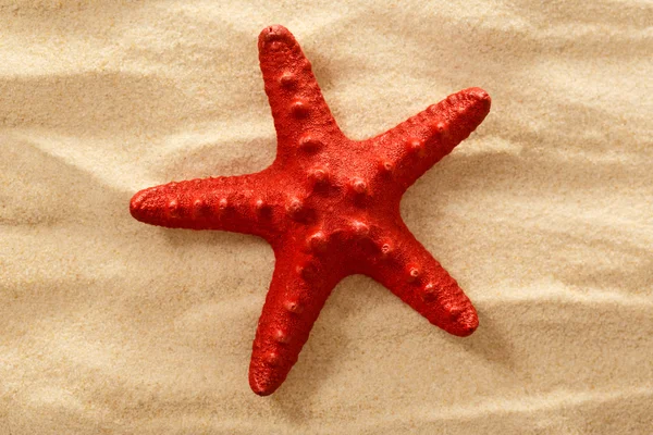 Decorative red sea star on sand — Stock Photo, Image