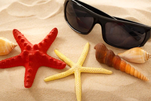 Solbriller, strandskjell og sjøskjell i sand – stockfoto