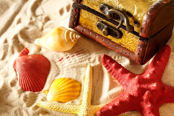 Сундук с ракушками на песке — стоковое фото