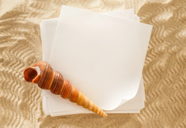 Boş beyaz kağıt ve kum deniz kabuğu — Stok fotoğraf