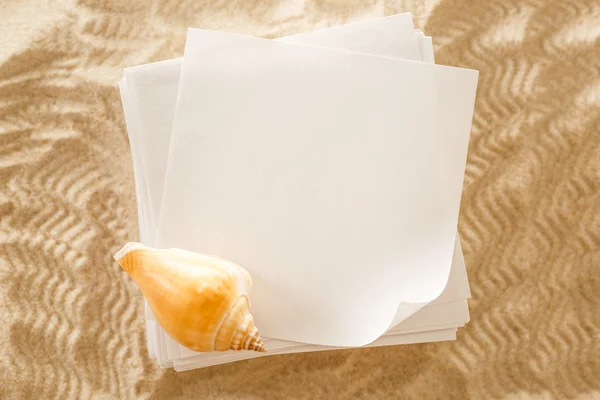 Blank white paper and seashell in sand Stock Picture