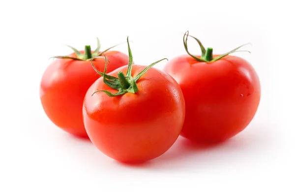 Tomates sobre o fundo branco — Fotografia de Stock