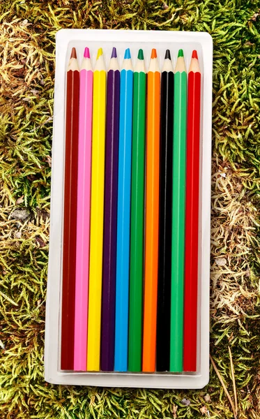 Conjunto de novos lápis coloridos — Fotografia de Stock