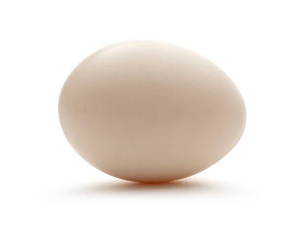 Ett färskt ägg — Stockfoto
