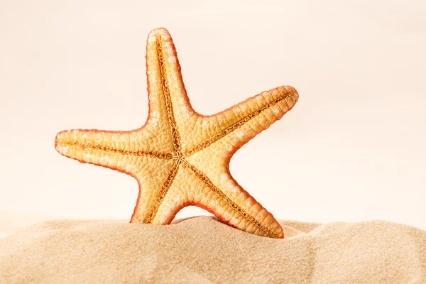 Sea star in zand — Stockfoto