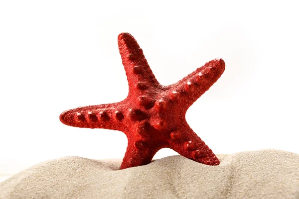 Red sea star in sand — Stock Photo, Image