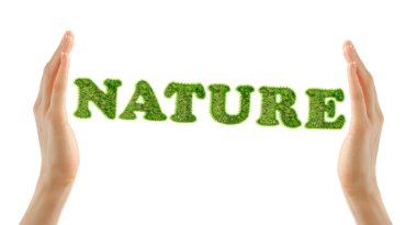 Word doğa eller arasında