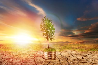 árbol verde en la lámpara