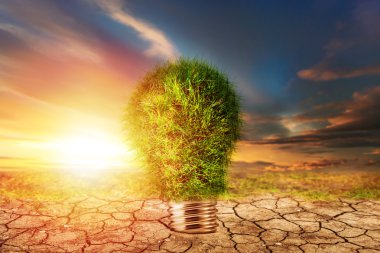 Kuru toprak yeşil lamba ampul