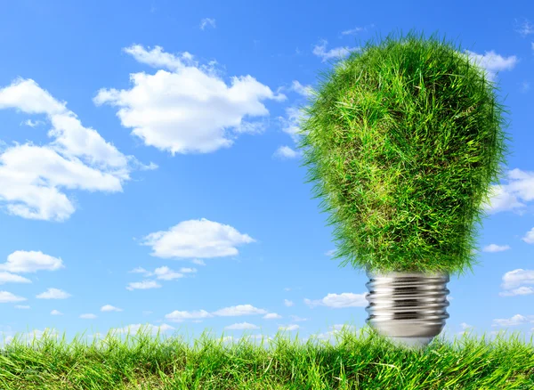 Bulb made of green grass — Stock Photo, Image