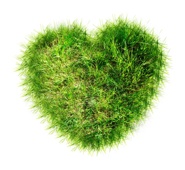 Heart made of green grass — Stock Photo, Image