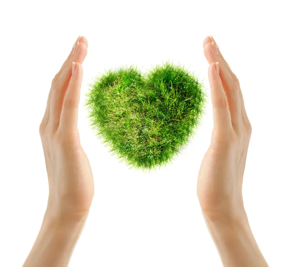 Сердце из зеленой травы — стоковое фото