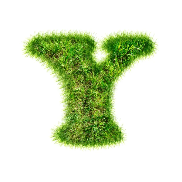 Lettera Y fatta di erba verde — Foto Stock