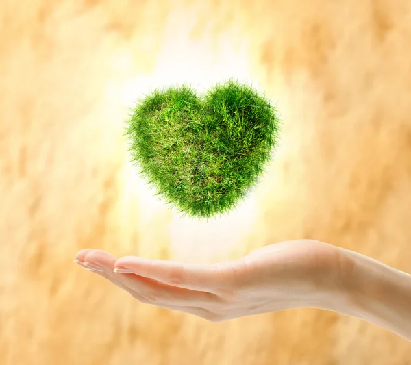 Cuore fatto di erba verde — Foto Stock