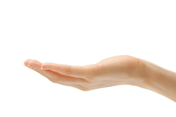 Llevar la mano femenina —  Fotos de Stock