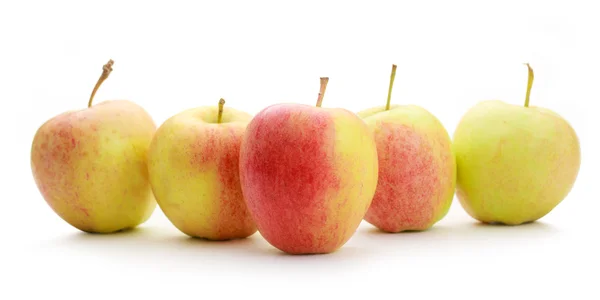 Fresh ripe apples — Stock Photo, Image