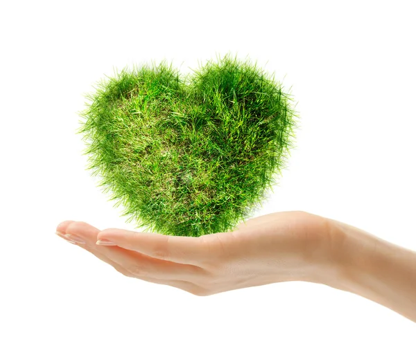 Coração feito de grama verde — Fotografia de Stock