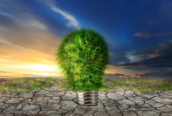 Green lamp bulb on dry soil — Stock Photo, Image