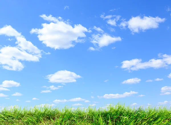 Blauwe lucht met groen gras — Stockfoto